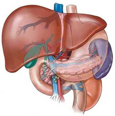 Emulate Android APK Liver Disease Fact Emulate Android APK Liver Disease Fact