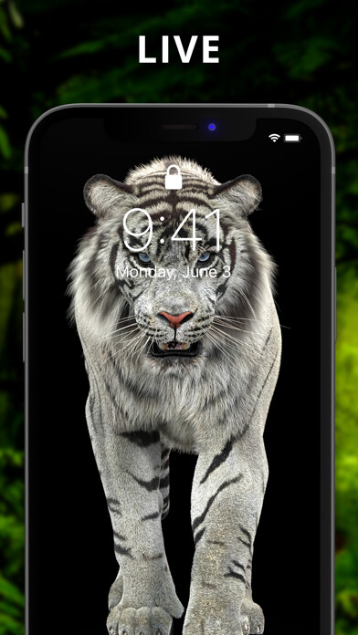 Emulate iPhone app Live Wallpaper - LightWave using MyAndroid Emulate iPhone app Live Wallpaper - LightWave using MyAndroid