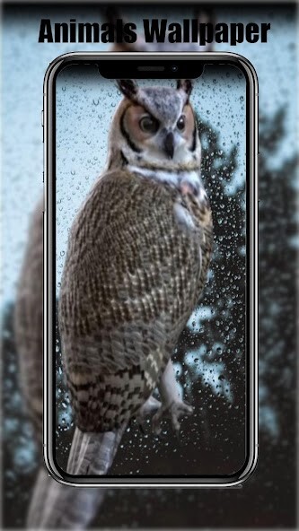 Run android online APK Live Wallpaper Magic Touch from MyAndroid or emulate Live Wallpaper Magic Touch using MyAndroid Run android online APK Live Wallpaper Magic Touch from MyAndroid or emulate Live Wallpaper Magic Touch using MyAndroid