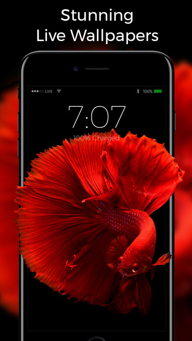 Emulate iPhone app Live Wallpapers for Everyone using MyAndroid