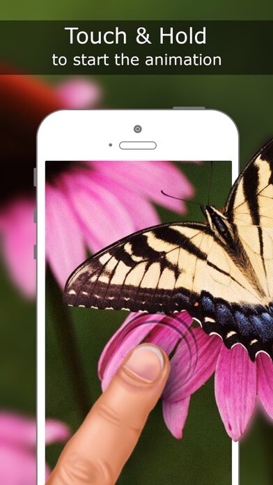 Emulate iPhone app Live Wallpapers for iPhone 6s & 6s Plus  - Free Animated Backgrounds using MyAndroid