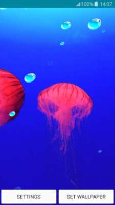 Emulate Android APK live wallpapers jellyfish