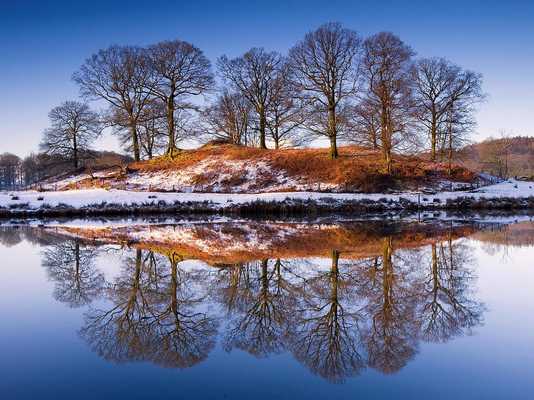 Emulate Android APK Live Wallpapers Nature Emulate Android APK Live Wallpapers Nature