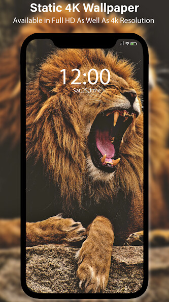 Run android online APK Live Wallpapers Wall Loop from MyAndroid or emulate Live Wallpapers Wall Loop using MyAndroid Run android online APK Live Wallpapers Wall Loop from MyAndroid or emulate Live Wallpapers Wall Loop using MyAndroid