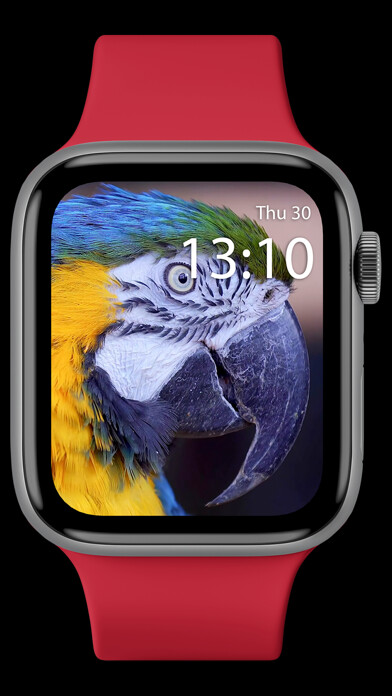Emulate iPhone app Live Watch Faces using MyAndroid Emulate iPhone app Live Watch Faces using MyAndroid
