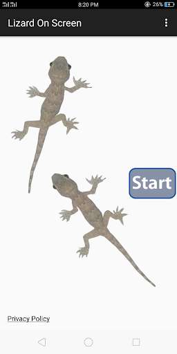 Run android online APK Lizard On Screen Prank from MyAndroid or emulate Lizard On Screen Prank using MyAndroid