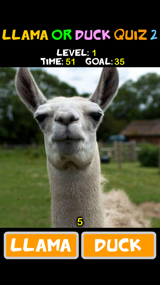 Emulate iPhone app Llama or Duck Quiz 2 using MyAndroid Emulate iPhone app Llama or Duck Quiz 2 using MyAndroid