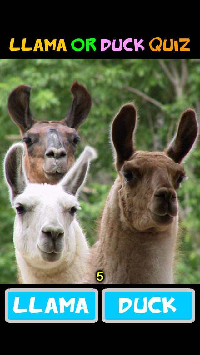 Emulate iPhone app Llama or Duck using MyAndroid