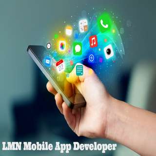 Emulate Android APK LMN Mobile App Developer