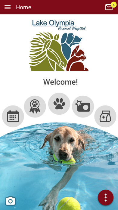 Emulate iPhone app LOAH Vet using MyAndroid