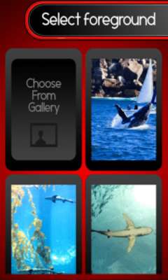 Emulate Android APK Lock Screen - Sea Creatures Emulate Android APK Lock Screen - Sea Creatures