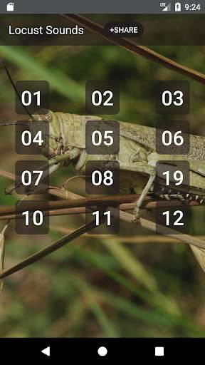 Emulate Android APK Locust Grasshopper sounds Emulate Android APK Locust Grasshopper sounds
