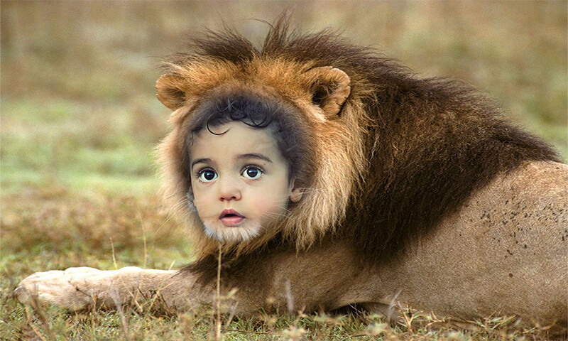 Run android online APK Loin Photo Frames from MyAndroid or emulate Loin Photo Frames using MyAndroid