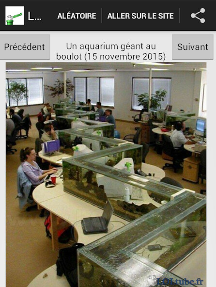 Run android online APK LOLTube : Images drôles from MyAndroid or emulate LOLTube : Images drôles using MyAndroid Run android online APK LOLTube : Images drôles from MyAndroid or emulate LOLTube : Images drôles using MyAndroid
