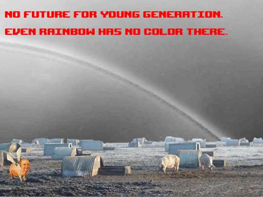 Emulate Android APK Lorenzo (Free)