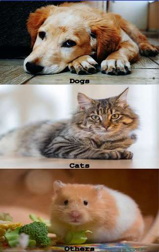 Run android online APK Los Angeles Pet Shelter Searcher from MyAndroid or emulate Los Angeles Pet Shelter Searcher using MyAndroid