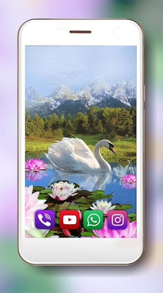 Run android online APK Lotus and Swan Live Wallpaper from MyAndroid or emulate Lotus and Swan Live Wallpaper using MyAndroid