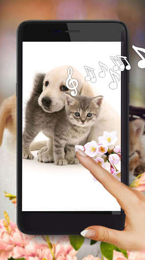 Run android online APK Love Baby Pet from MyAndroid or emulate Love Baby Pet using MyAndroid Run android online APK Love Baby Pet from MyAndroid or emulate Love Baby Pet using MyAndroid