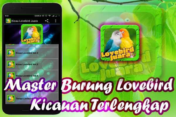 Emulate Android APK Lovebird Birds
