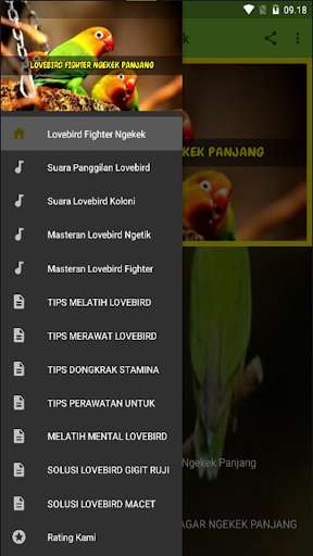 Run android online APK Lovebird Fighter Ngekek Gacor from MyAndroid or emulate Lovebird Fighter Ngekek Gacor using MyAndroid