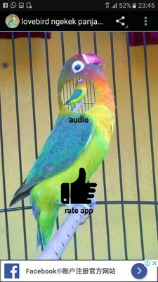 Emulate Android APK love bird ngakak panjang Emulate Android APK love bird ngakak panjang