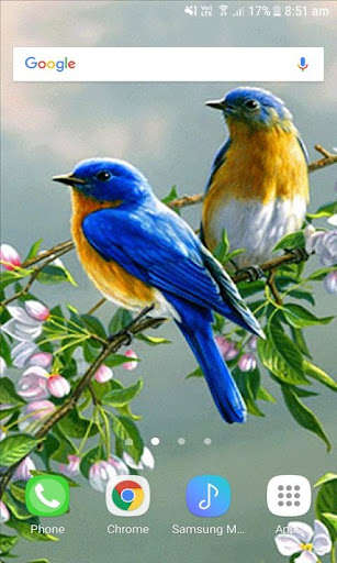 Emulate Android APK Love Birds Live Wallpaper Emulate Android APK Love Birds Live Wallpaper