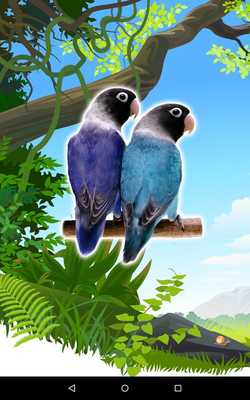 Emulate Android APK Lovebirds Unified Common Emulate Android APK Lovebirds Unified Common