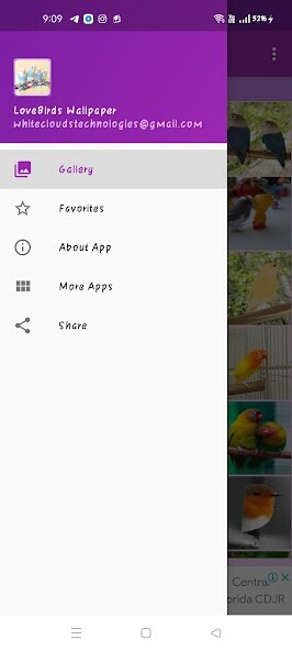 Emulate Android APK love birds wallpapers Emulate Android APK love birds wallpapers