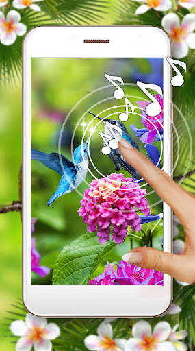 Run android online APK Love Colibri Live Wallpaper from MyAndroid or emulate Love Colibri Live Wallpaper using MyAndroid Run android online APK Love Colibri Live Wallpaper from MyAndroid or emulate Love Colibri Live Wallpaper using MyAndroid