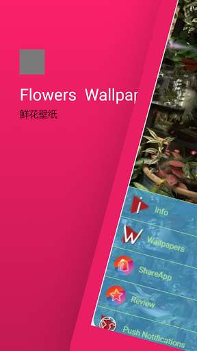 Run android online APK loveflowers wallpaper from MyAndroid or emulate loveflowers wallpaper using MyAndroid Run android online APK loveflowers wallpaper from MyAndroid or emulate loveflowers wallpaper using MyAndroid