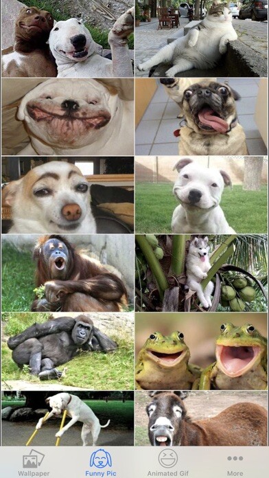 Emulate iPhone app Lovely Animals using MyAndroid Emulate iPhone app Lovely Animals using MyAndroid