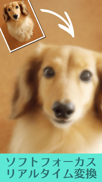 Emulate iPhone app Lovely Camera using MyAndroid