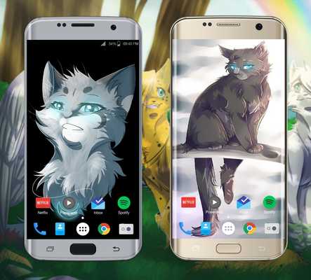 Emulate Android APK Lovely Cats Wallpaper