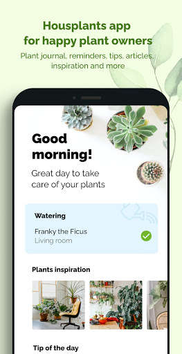 Run android online APK Lovely: Plants care and Inspiration from MyAndroid or emulate Lovely: Plants care and Inspiration using MyAndroid Run android online APK Lovely: Plants care and Inspiration from MyAndroid or emulate Lovely: Plants care and Inspiration using MyAndroid