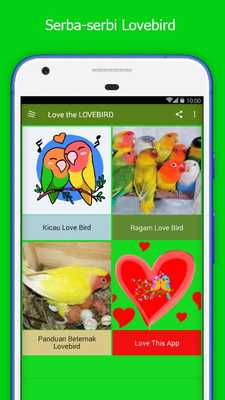 Emulate Android APK Love the LOVEBIRD