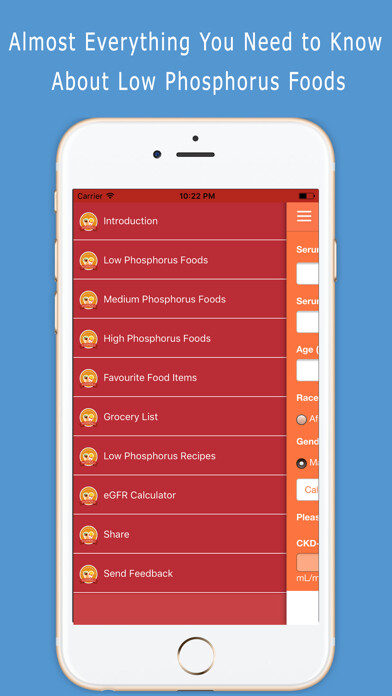 Emulate iPhone app Low Phosphorus Foods using MyAndroid