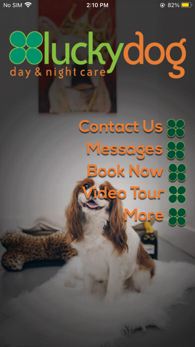 Emulate iPhone app Luckydog Day & Night Care using MyAndroid Emulate iPhone app Luckydog Day & Night Care using MyAndroid