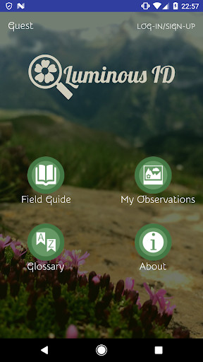 Run android online APK Luminous ID from MyAndroid or emulate Luminous ID using MyAndroid
