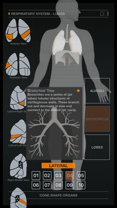 Emulate iPhone app Lungs Respiratory System using MyAndroid Emulate iPhone app Lungs Respiratory System using MyAndroid