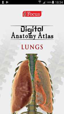 Emulate Android APK Lungs Emulate Android APK Lungs