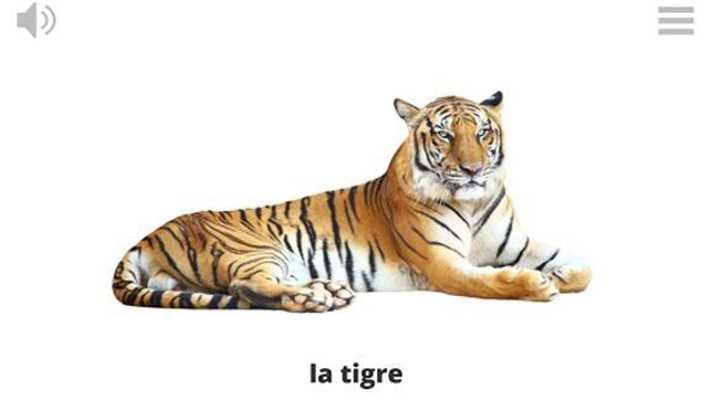 Emulate Android APK Lyrebird: Learn ITALIAN Emulate Android APK Lyrebird: Learn ITALIAN