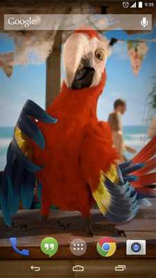 Emulate Android APK Macaw Parrot Live Wallpaper Emulate Android APK Macaw Parrot Live Wallpaper