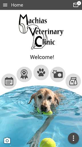 Run android online APK Machias Vet from MyAndroid or emulate Machias Vet using MyAndroid Run android online APK Machias Vet from MyAndroid or emulate Machias Vet using MyAndroid