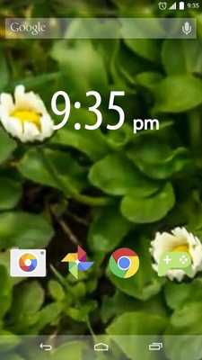 Emulate Android APK Macro Grass Live Wallpaper