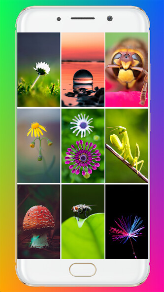 Run android online APK Macro Wallpaper HD from MyAndroid or emulate Macro Wallpaper HD using MyAndroid Run android online APK Macro Wallpaper HD from MyAndroid or emulate Macro Wallpaper HD using MyAndroid
