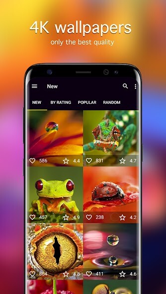 Run android online APK Macro Wallpapers 4K from MyAndroid or emulate Macro Wallpapers 4K using MyAndroid