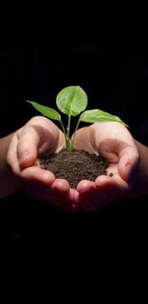 Run android online APK Madana vermicompost from MyAndroid or emulate Madana vermicompost using MyAndroid Run android online APK Madana vermicompost from MyAndroid or emulate Madana vermicompost using MyAndroid