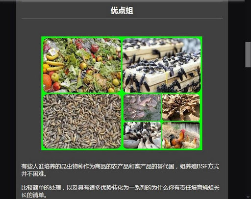 Run android online APK MAGGOT Cultivation from MyAndroid or emulate MAGGOT Cultivation using MyAndroid