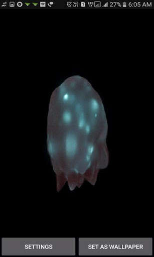 Run android online APK Magical Jelly Fish LWP from MyAndroid or emulate Magical Jelly Fish LWP using MyAndroid Run android online APK Magical Jelly Fish LWP from MyAndroid or emulate Magical Jelly Fish LWP using MyAndroid