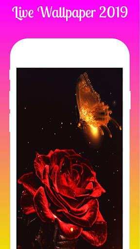 Run android online APK Magical Red Rose Live Wallpaper Red Rose from MyAndroid or emulate Magical Red Rose Live Wallpaper Red Rose using MyAndroid